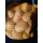 Kartoffel "Cilena" - 1 kg - D HK1