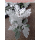 Jacobaea maritima syn. Senecio cineraria (Silberblatt, Weißfilziges Greiskraut)