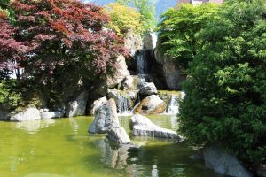 Read more about the article Japanischer Garten