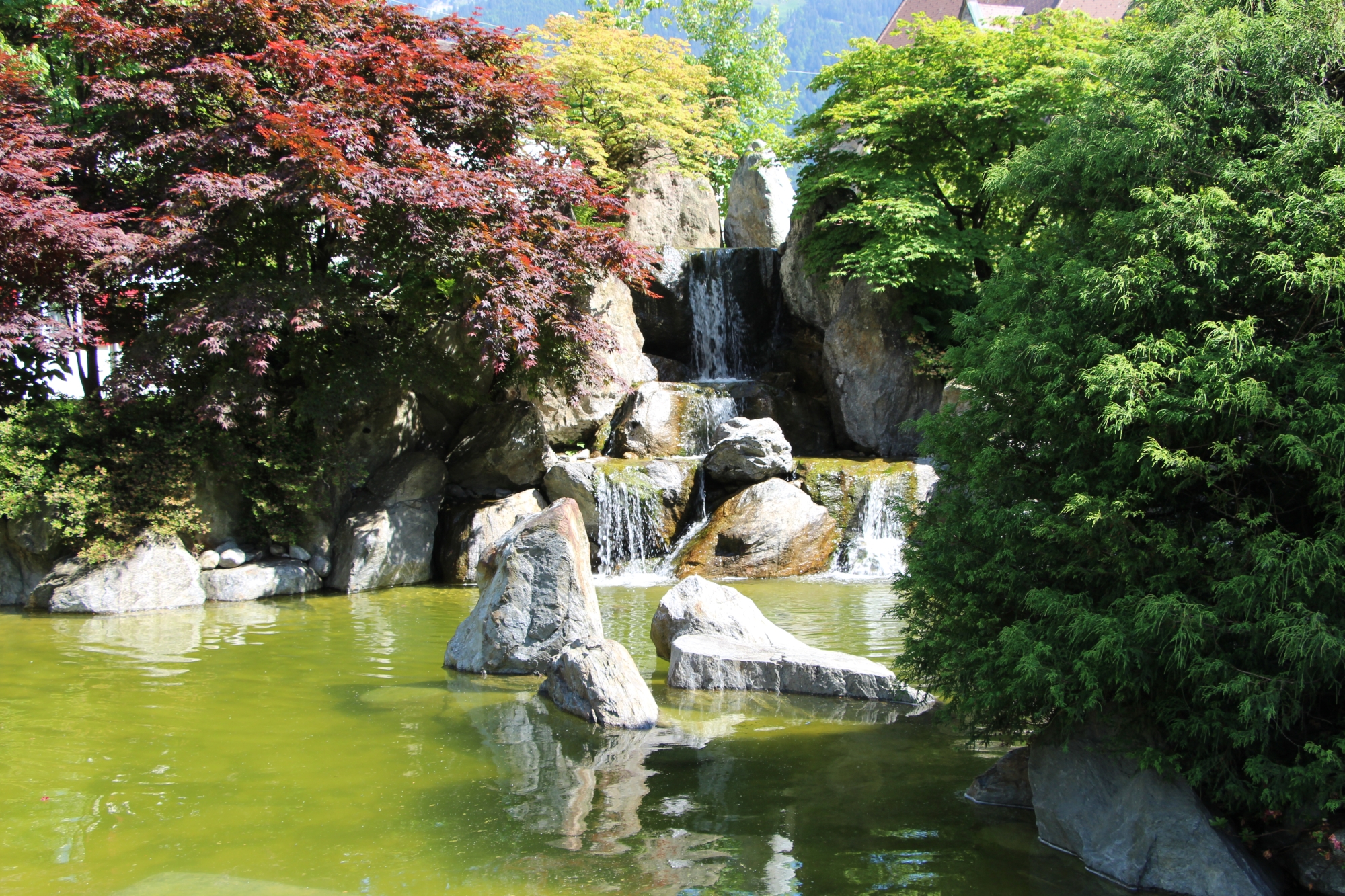 Japanischer Garten - Grünlandstaudenhof