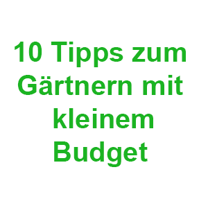 Read more about the article 10 Tipps zum Gärtnern mit kleinem Budget