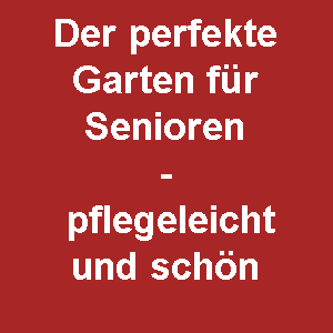 Read more about the article Der perfekte Garten für Senioren – pflegeleicht und schön