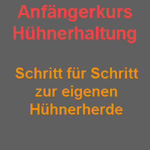 Read more about the article Anfängerkurs Hühnerhaltung