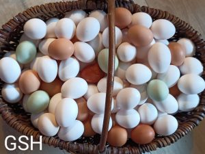 Korb mit Eiern in verschiedenen Farben